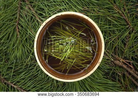 Cup Of Black Tea With Pine Tree Needles In It On Green Needles Background Top View. Healthy Beverage