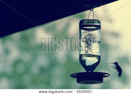 Colibri