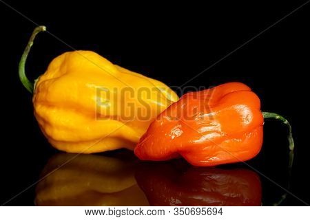 Group Of Two Whole Hot Chili Pepper Isolated On Black Glass