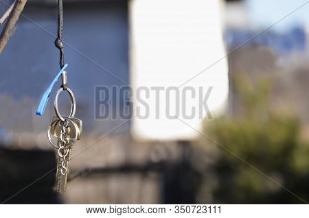 On The Tree Hangs A Bunch Of Keys On The Background Of The House. Concept: Purchase Of Personal Hous
