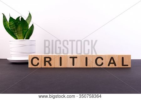 Critical Word Concept Written On Wooden Blocks, Cubes On A Dark Table With A Flower And A Light Back