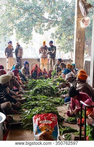 Amritsar India - Febuary 8, 2020: Volunteers Help Prepare Food In The Free Kitchen (langar) At Sikh 