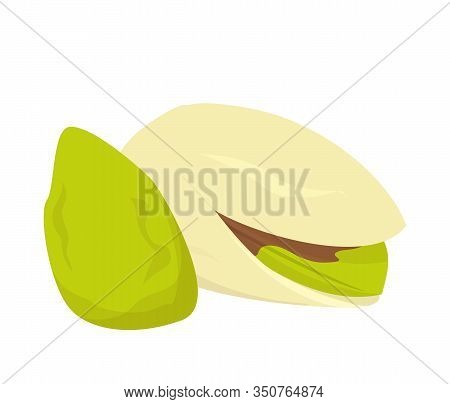 Pistachio nut vector isolated. Healthy snack, green seed in the shell. Oragnic natural ingredient.