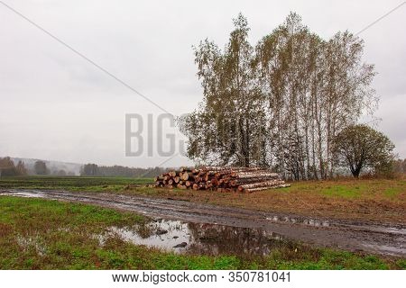 The Harsh Landscape Nature And Road Through The Fields For The Off-road Suv With Puddles And Mud. Au