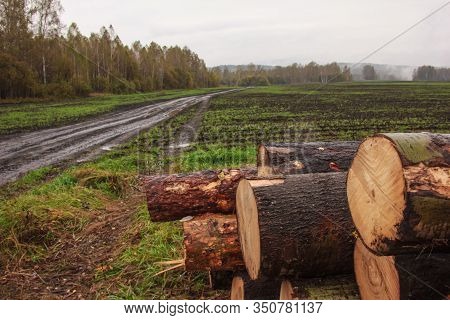 The Harsh Landscape Nature And Road Through The Fields For The Off-road Suv With Puddles And Mud. Au