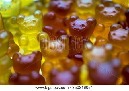 Multi-colored Gelatin Gummy Bears Vitamins And Sweets