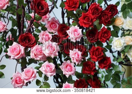 Colored roses. Holiday flower. Wedding decoration