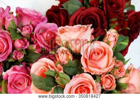 Colored roses. Holiday flower. Wedding decoration