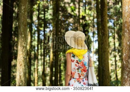 traveling Asian woman hiking in the forest at Xitou, Nantou, Taiwan