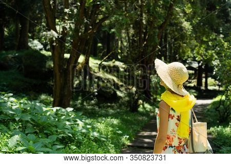 traveling Asian woman hiking in the forest at Xitou, Nantou, Taiwan