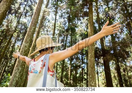 traveling Asian woman hiking in the forest at Xitou, Nantou, Taiwan