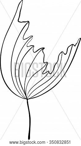 Abstract Doodle Single Floral Element For Decoration Patterns, Wrapping Paper, Wallpaper, Cards, Inv