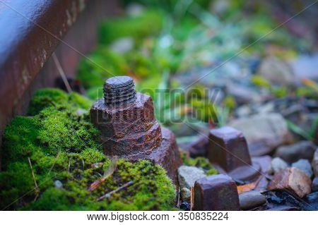 Close Up On Rusty Rail Threshold Screw And Nut In Railroadbed Covered With Moss,