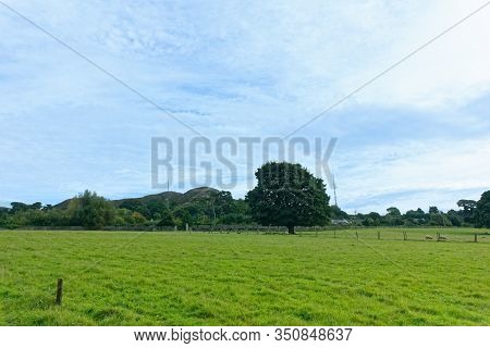Photography Taken In Ireland Countryside On September. Showing Beautiful Green Grass And Tress On Th