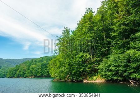 Beautiful Vihorlat Lake Among The Forest In Summer. Fantastic Slovakian Mountain Scenery