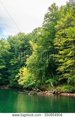 Beautiful Vihorlat Lake Among The Forest In Summer. Fantastic Slovakian Mountain Scenery