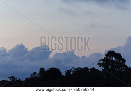Landscape At Sunset, Cloudy Sky And Trees In The Dark. San Clemente Del Tuyu, Buenos Aires, Argentin