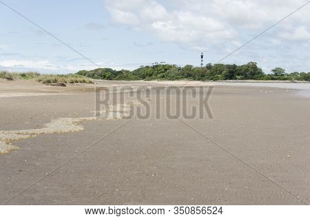 Beach Landscape: Sand With A Row Of Black Snail Egg Capsules, Adelomelon Brasiliana, In Punta Rasa, 