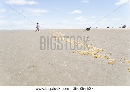 Punta Rasa, Buenos Aires / Argentina: Dec 31, 2015: Girl And Black Dog Walking On The Beach, Sand Wi