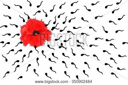 Poppy Flower And Sperm Heading Towards It. The Process Of Fertilization. Cope Space. Abstract Backgr
