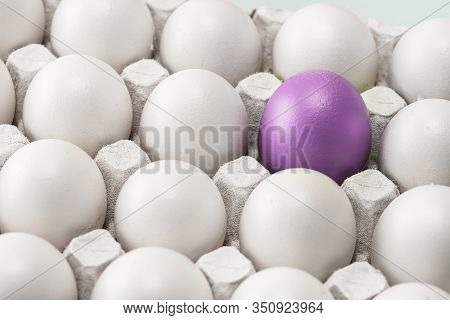 Easter Purple Red Egg Among Many Other Identical White Ones. The Team Leader Or A Loner., Symbol Of 