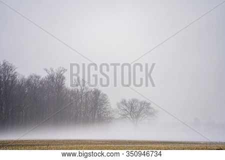 Misty Winter Morning. Forest Over The Fields.