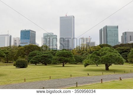 Tokyo, Japan - Oct 26, The Hamariky Park In Central Tokyo Surrounded By Skyskrapers During Autumn. T