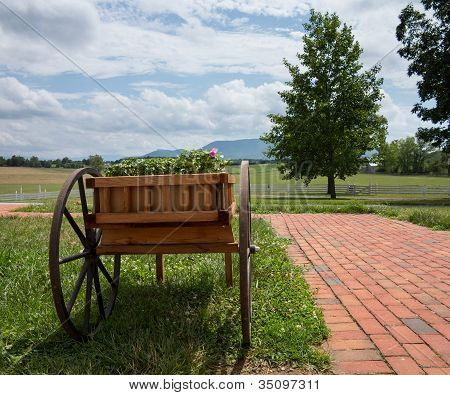 Carrinho com flores na paisagem Rural