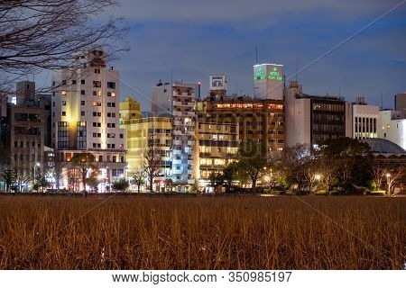 Tokyo, Japan - Jan 19, 2020: Shinobazunoike Bentendo Temple At Night Under The Light Of Lanterns.