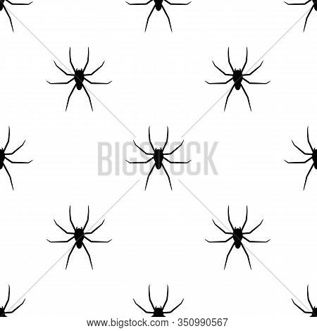 Seamless Pattern With Black Silhouette Of Spider On White Background. Halloween Decorative Texture. 