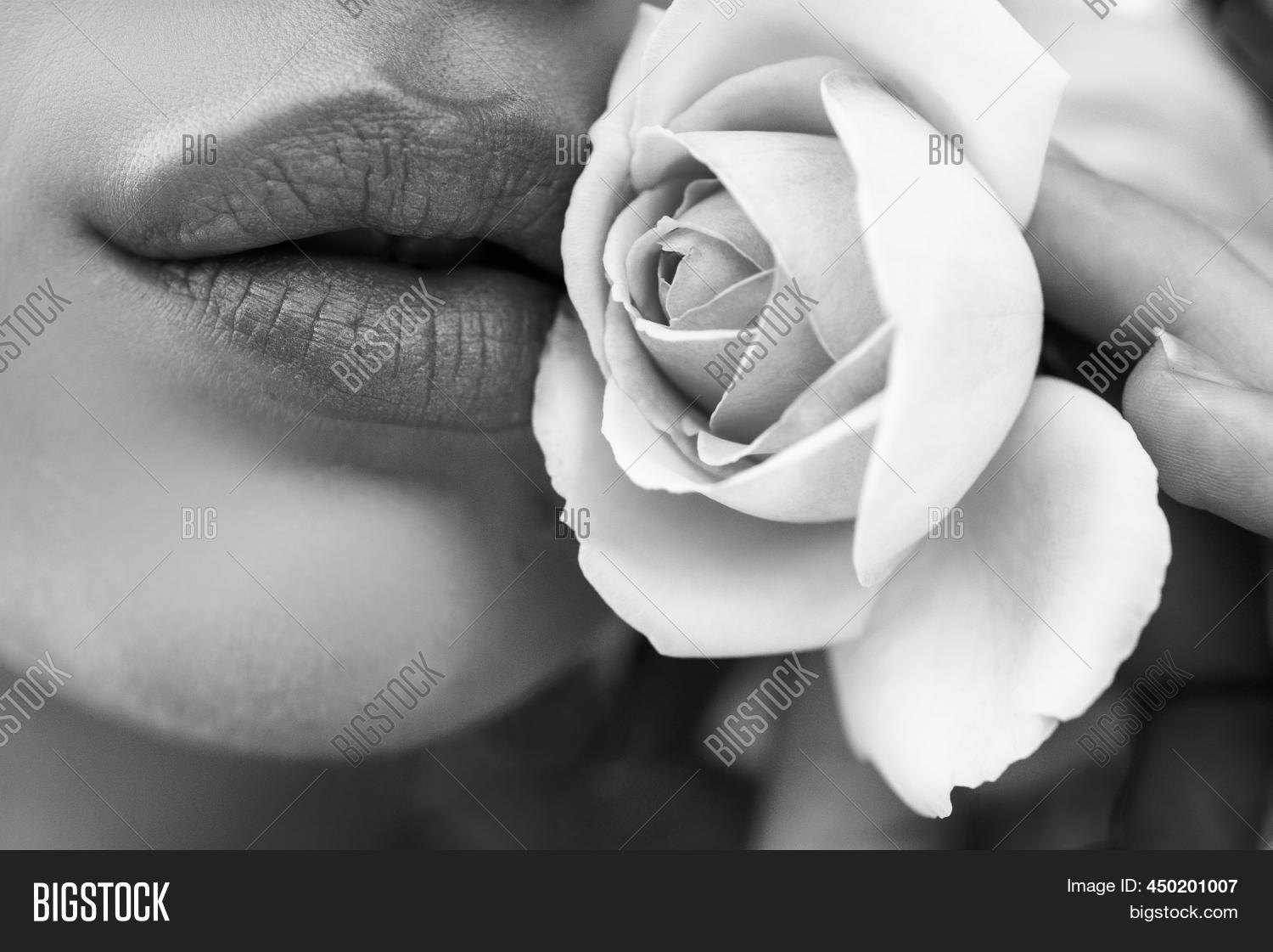 Lips Rose Closeup. Image & Photo (Free Trial) Bigstock