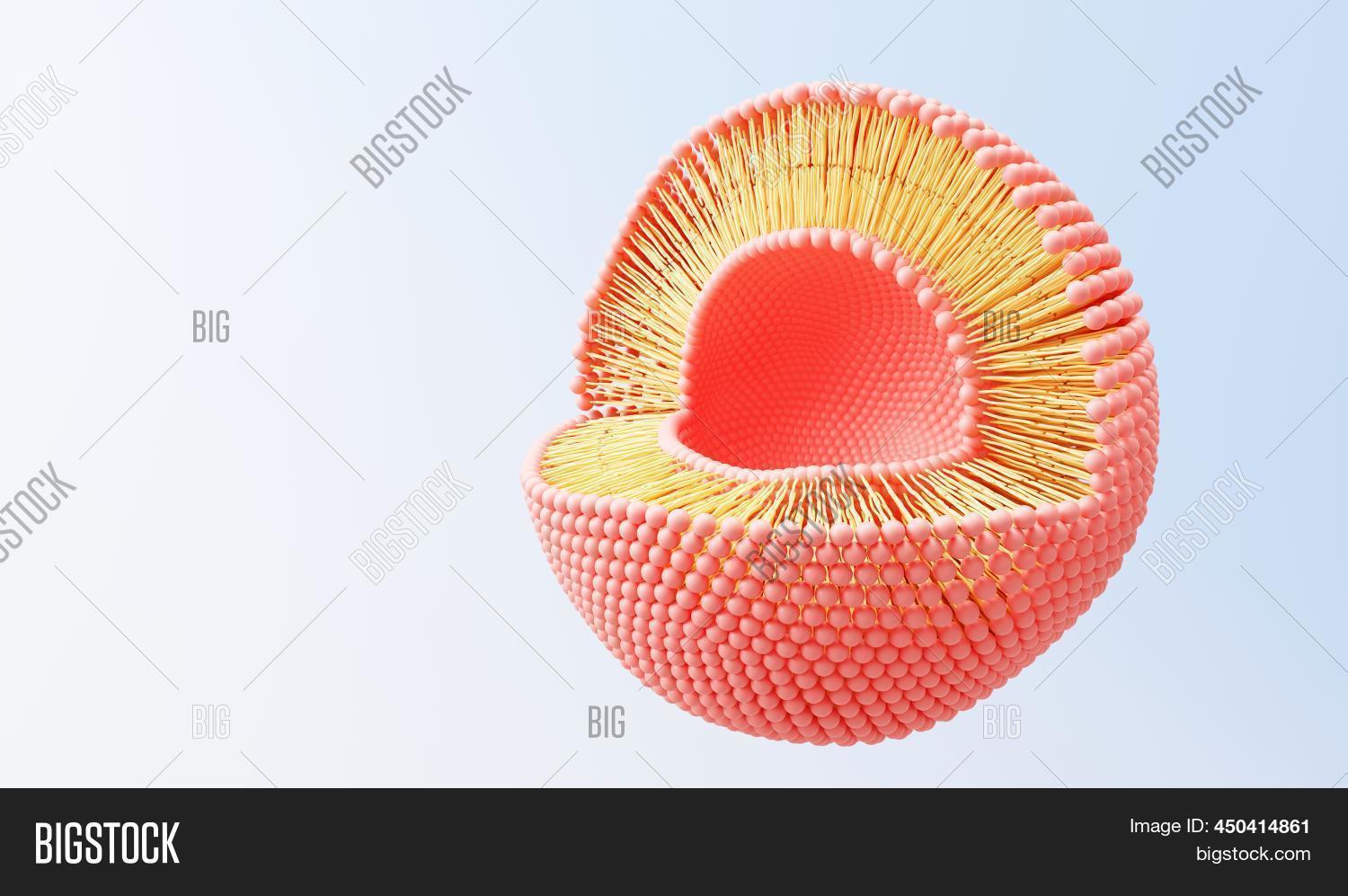 3d Render Cell Image & Photo (Free Trial) | Bigstock