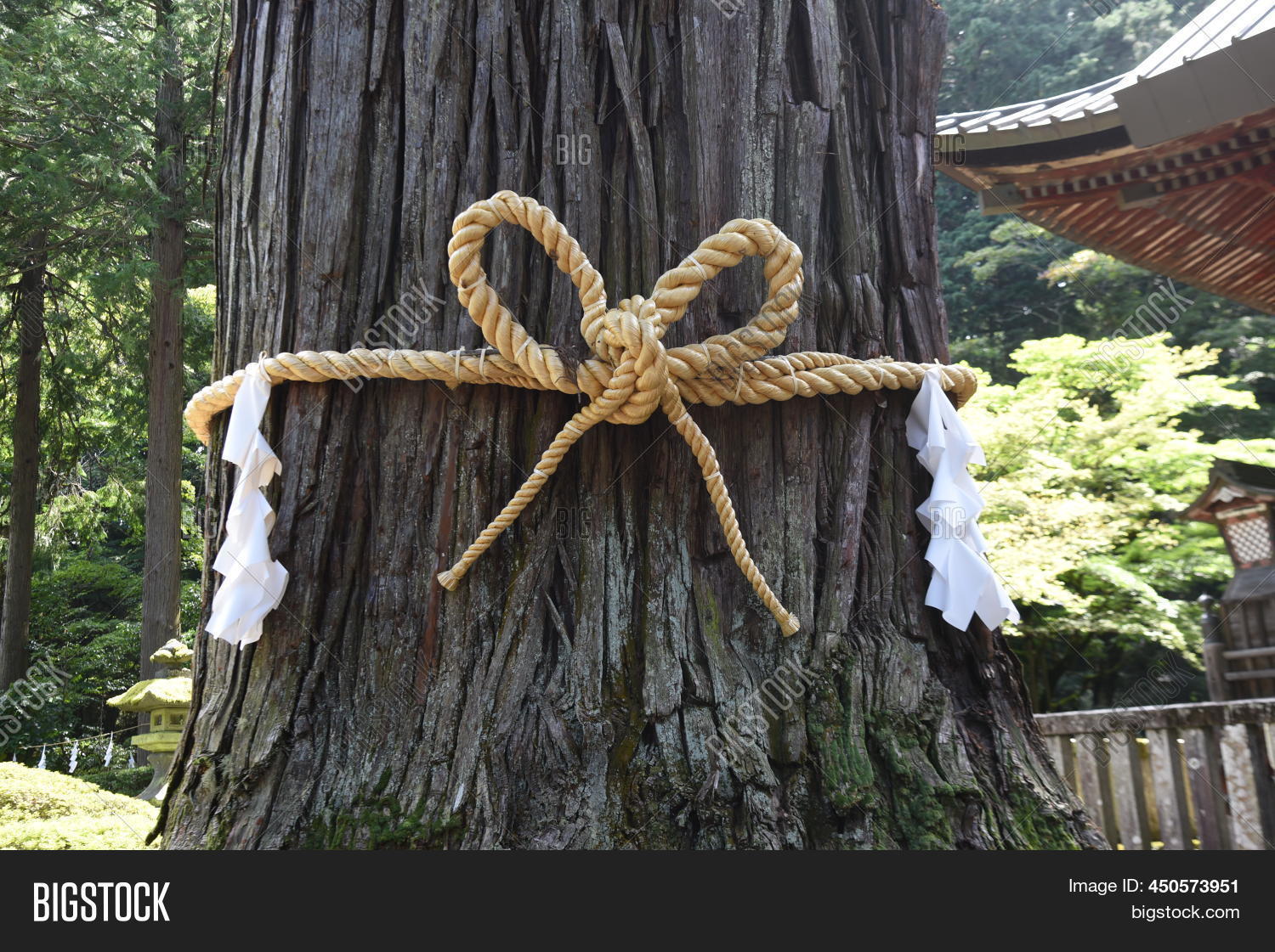 Culture Tradition Image & Photo (Free Trial) | Bigstock