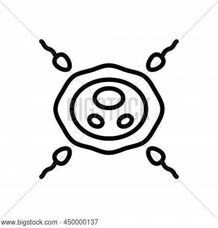 Black Line Icon For Reproduce Sperm Reproduction Cell Evolution Female Fertilization Ovulation Insem