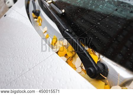 Leaves On The Hood Of A Car In Autumn In Raindrops