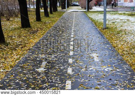 Cycle Path In The City Autumn Late Season With Snow