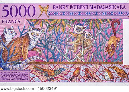 Lemurs And Birds From Malagasy Money - Ariary