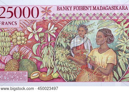 Woman Harvesting From Malagasy Money - Ariary