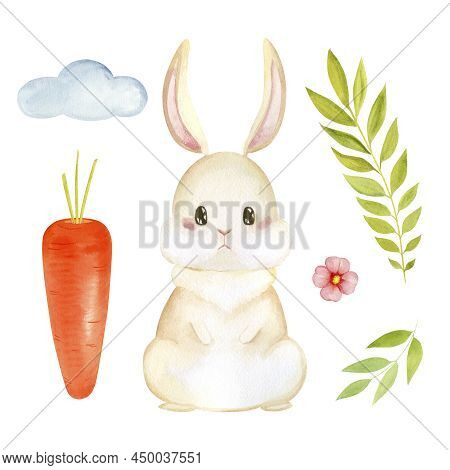 Watercolor Rabbit Set Carrot Plants And Cloud