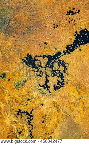 Miory District, Vitebsk Region, Belarus. The Yelnya Swamp. Upland And Transitional Bogs With Numerou