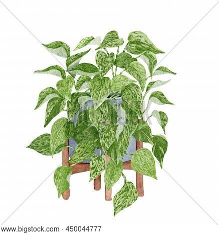 Hand Painted Watercolor Pothos Houseplant. Potted Hanging Plant Illustration. Potted Marble-queen-po