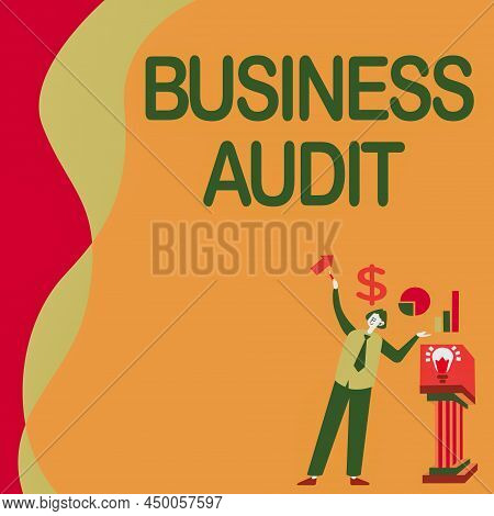 Conceptual Caption Business Audit. Business Idea Examination Of The Financial Report Of An Organisat
