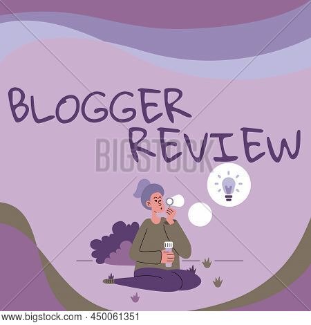 Conceptual Display Blogger Review. Business Approach Making A Critical Reconsideration And Summary O