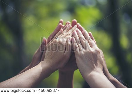 Group Of Teamwork High Five Team Together Hands Raise Up Power Partner. Diversity Multiethnic Group
