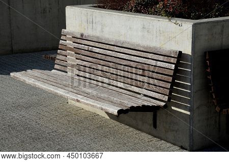 Benches At The Supporting Gray Supporting Concrete Wall In The Park. Purple Asters Bloom Above The W