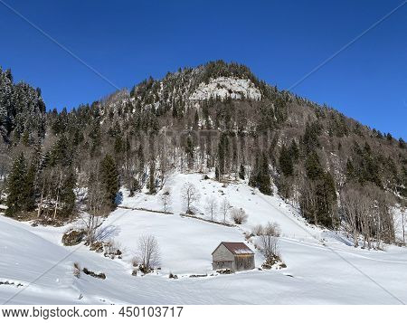 Forest-rocky Alpine Hill Mittelberg On The Slopes Of The Alpstein Massif And Above The Obertoggenbur