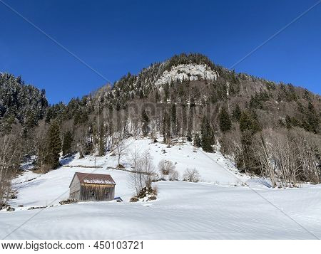 Forest-rocky Alpine Hill Mittelberg On The Slopes Of The Alpstein Massif And Above The Obertoggenbur