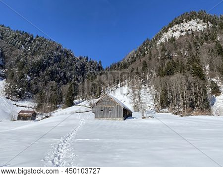 Forest-rocky Alpine Hill Mittelberg On The Slopes Of The Alpstein Massif And Above The Obertoggenbur
