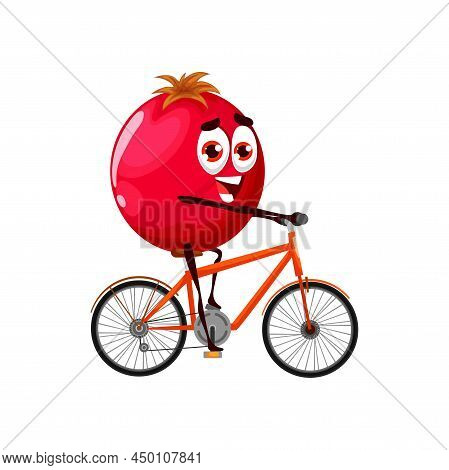 Cartoon Lingonberry On Bicycle, Vector Funny Cowberry Sportsman Bicyclist Character Doing Sport Exer