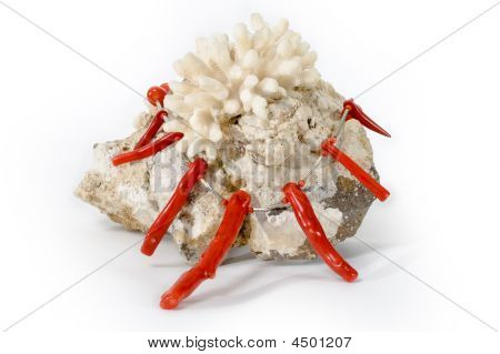 Coral am Stein mit Kette aus Korallen